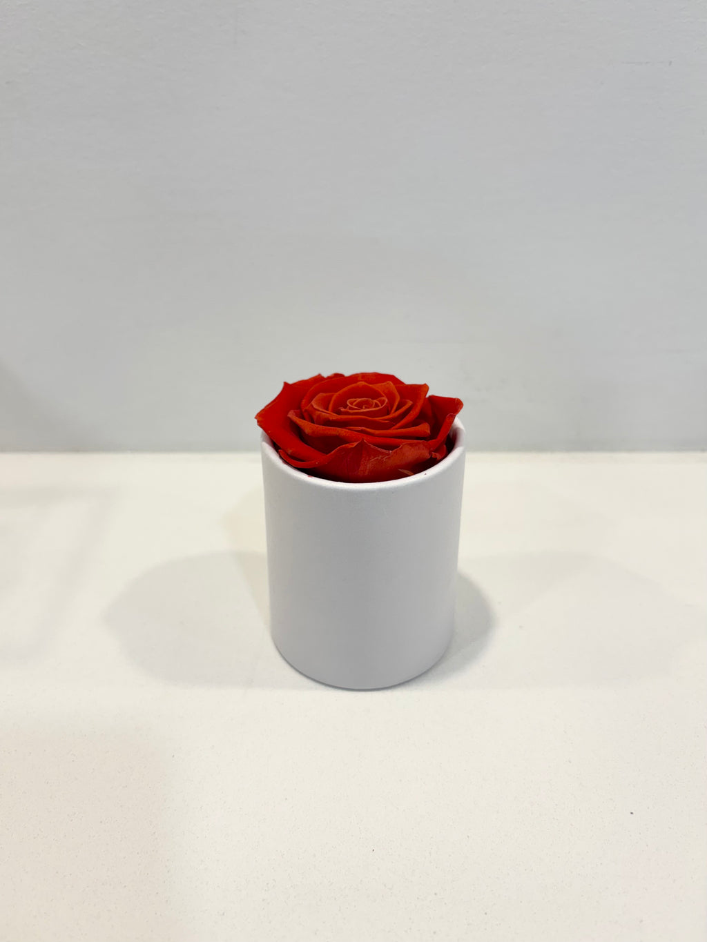 Round single eternal rose