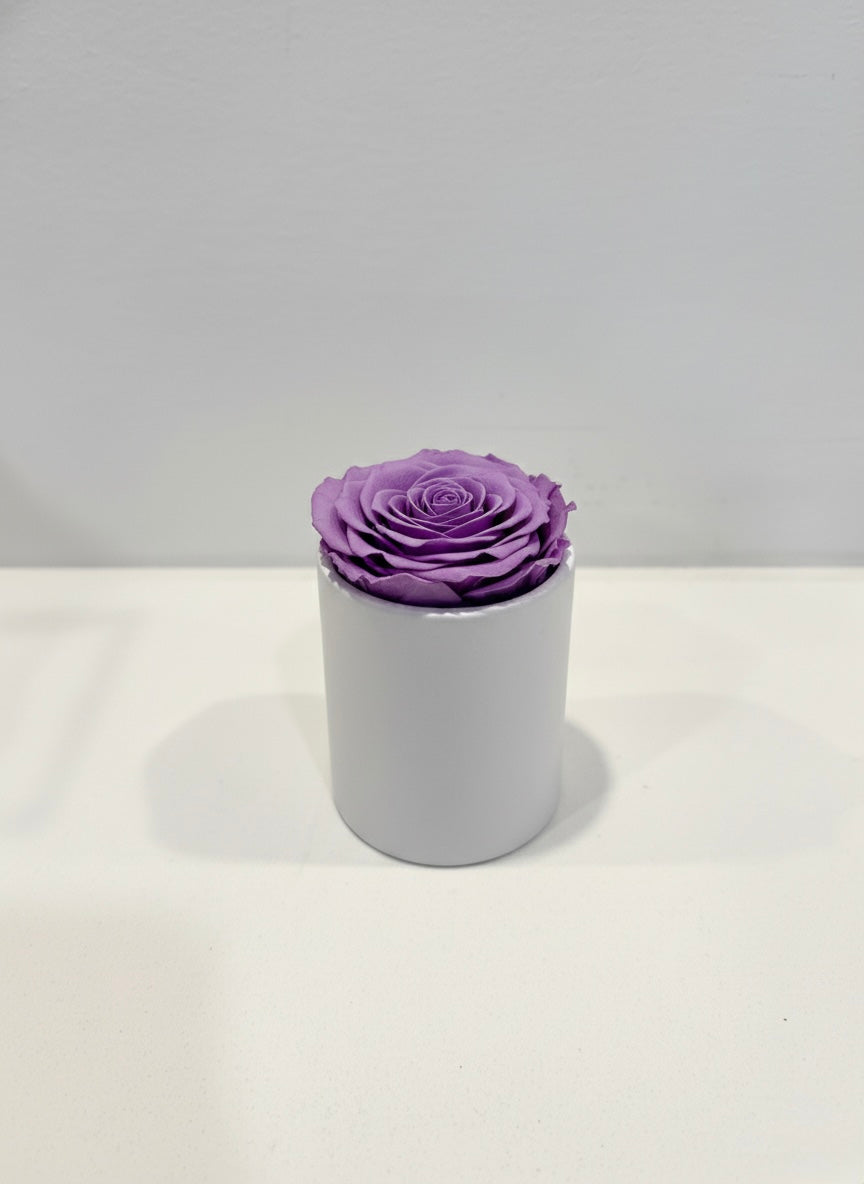Round single eternal rose