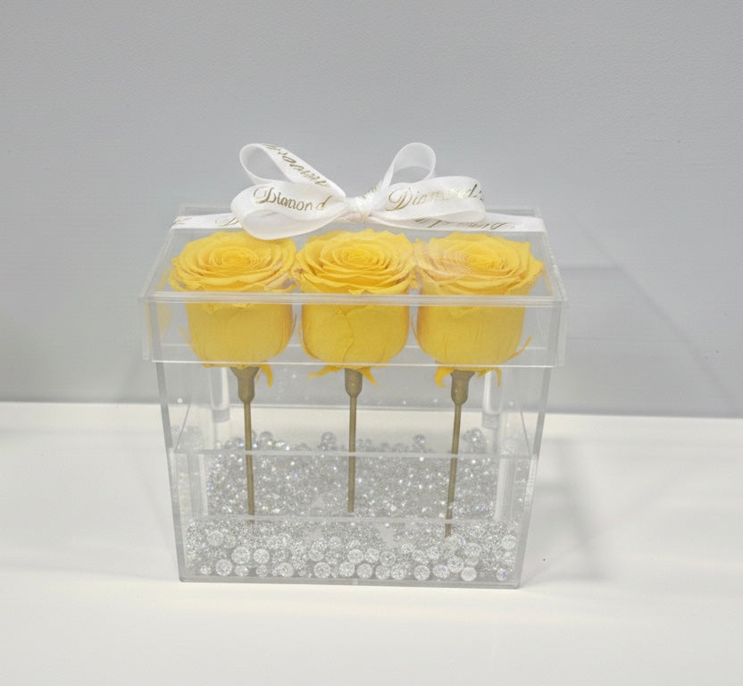 Three Timeless Roses