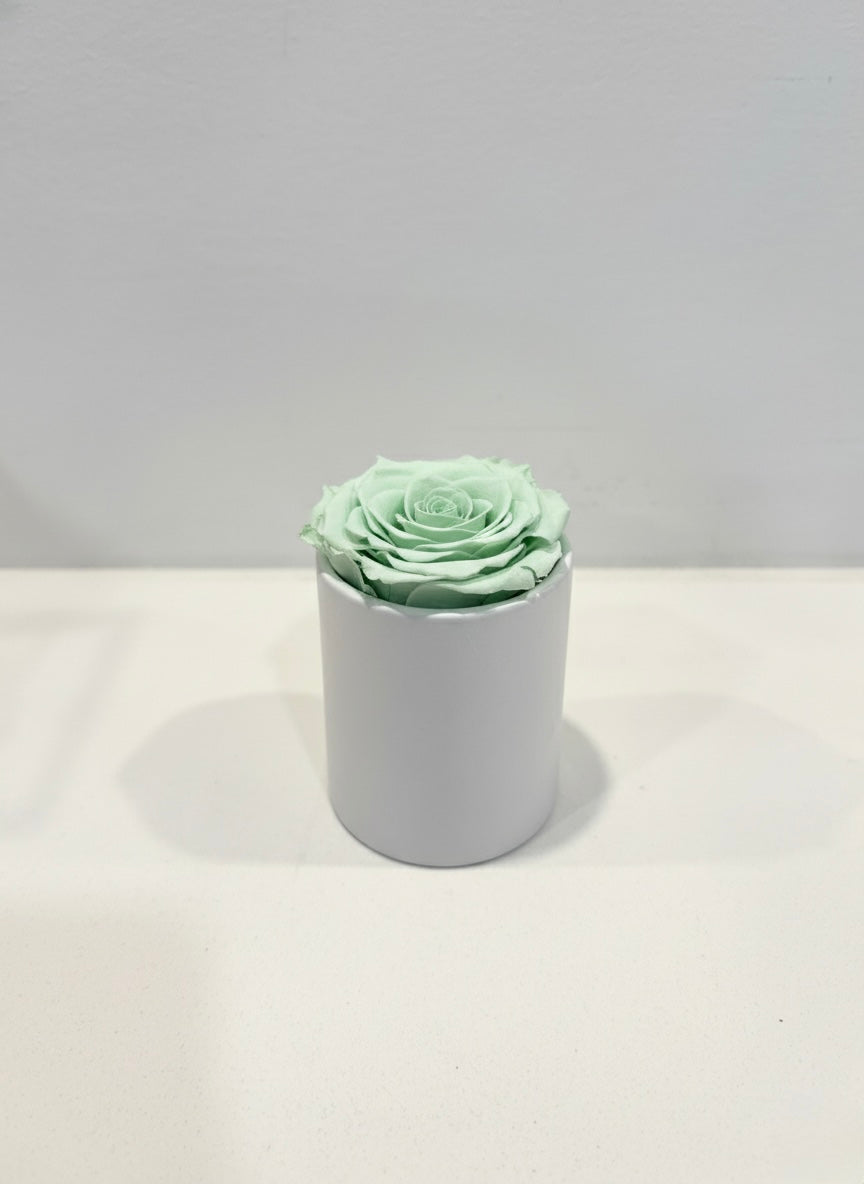 Round single eternal rose