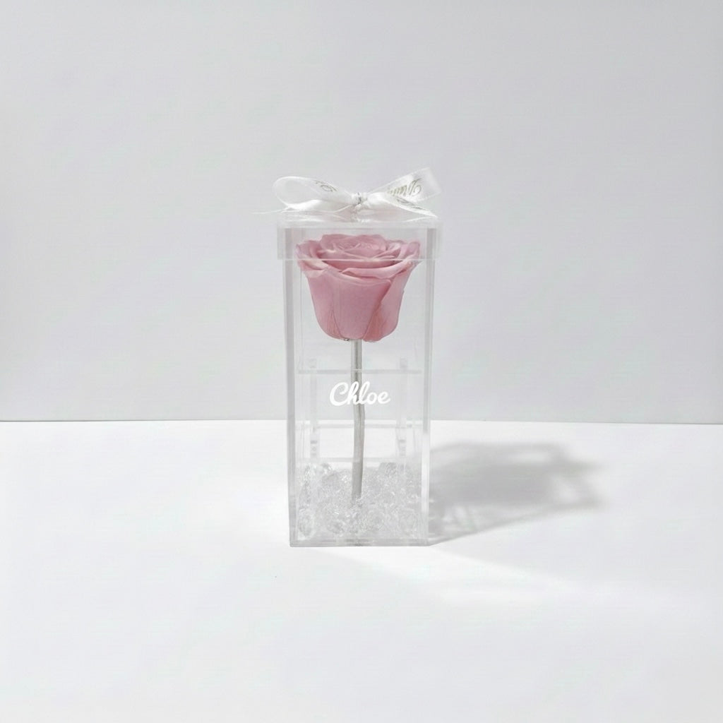 The Eternal One Stem